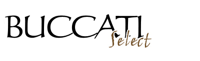logo bselect