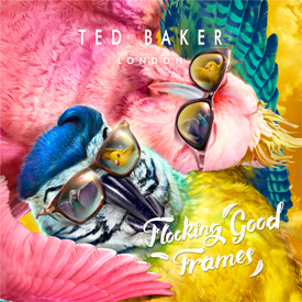 tedbaker13